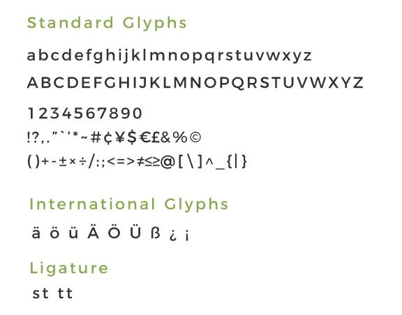 standard font